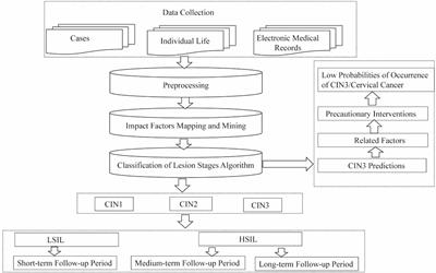 Predicting cervical intraepithelial neoplasia and determining the follow-up period in high-risk human papillomavirus patients